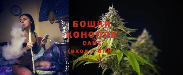 шишки Бронницы
