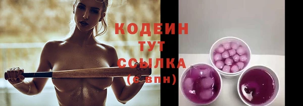 шишки Бронницы