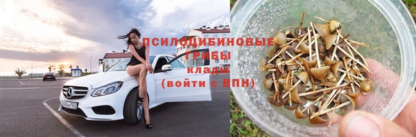 дурь Бугульма